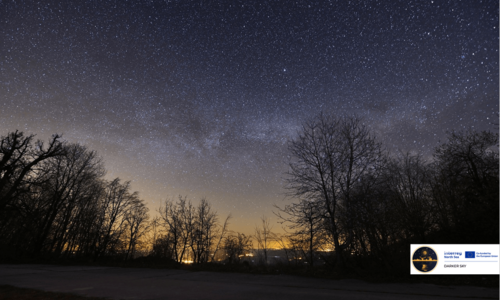 Waldlandschaft mit Abendhimmel