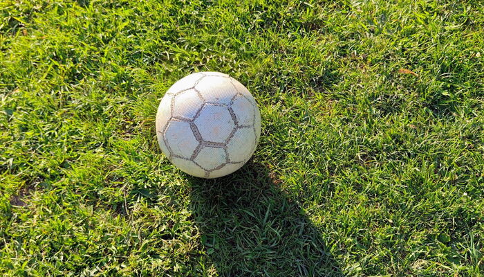 Fußball auf einer Wiese.