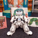 Roboter Nao