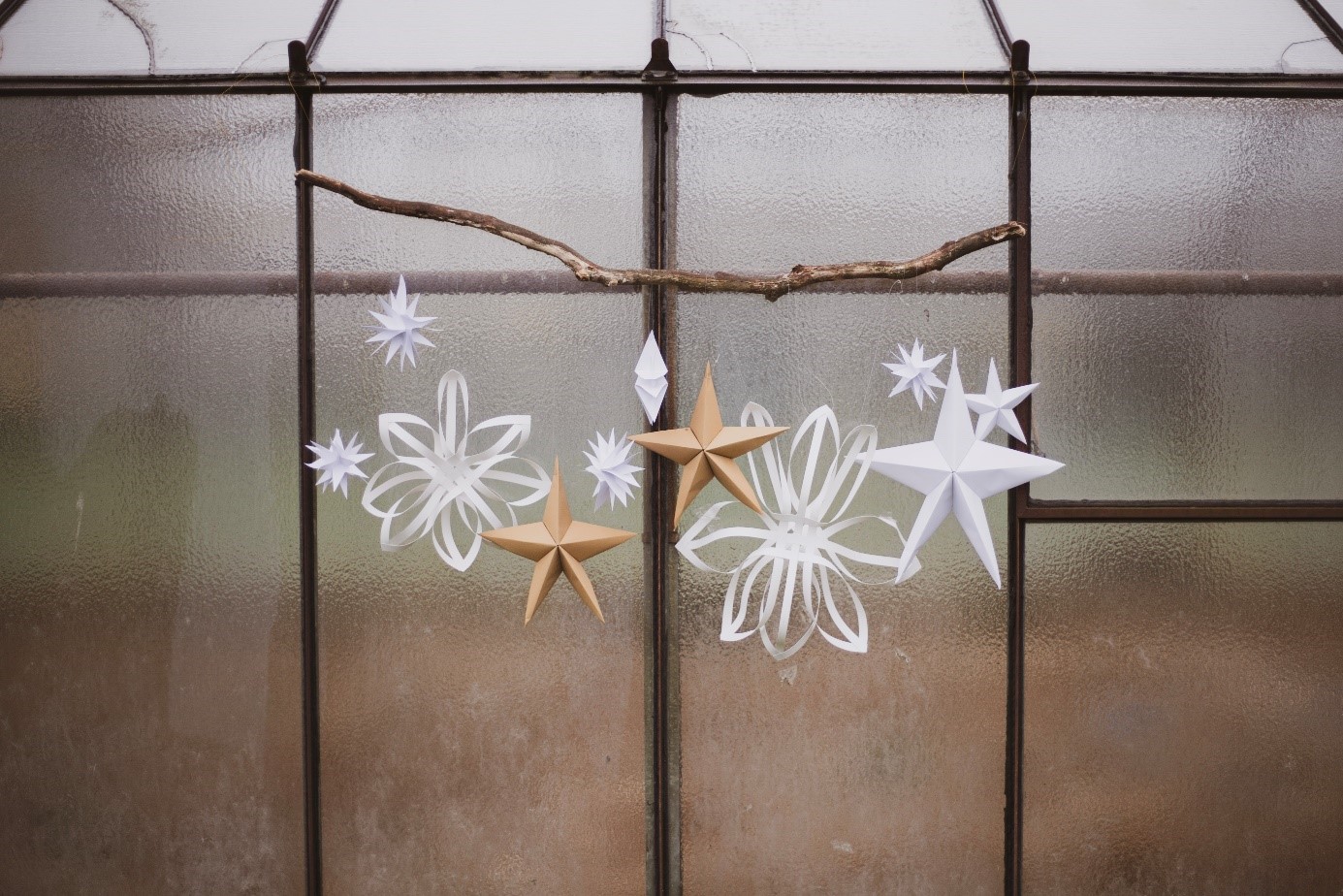 Papiersterne an einem Ast am Fenster aufgehängt