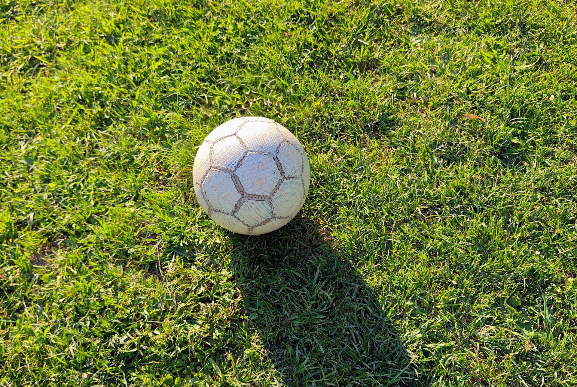 Fußball auf einer Wiese.